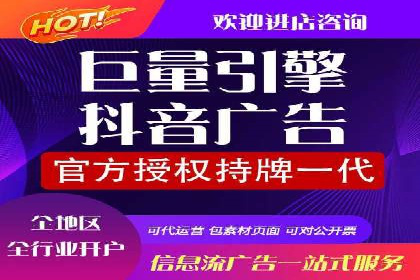 SEM广告投放的技巧与策略——成功案例分享